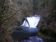 Silver Falls 12.10.05 050 